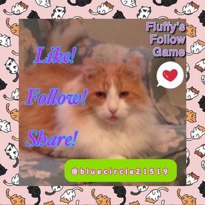 Fluffy’s 5 FG! 😻 🔵 NEW CLOSET NAME 🔵